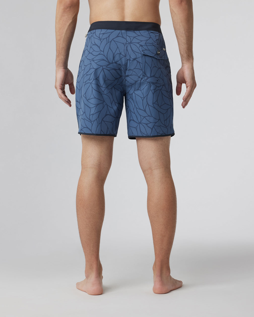 Cruise Boardshort | Nautilus Lagoon