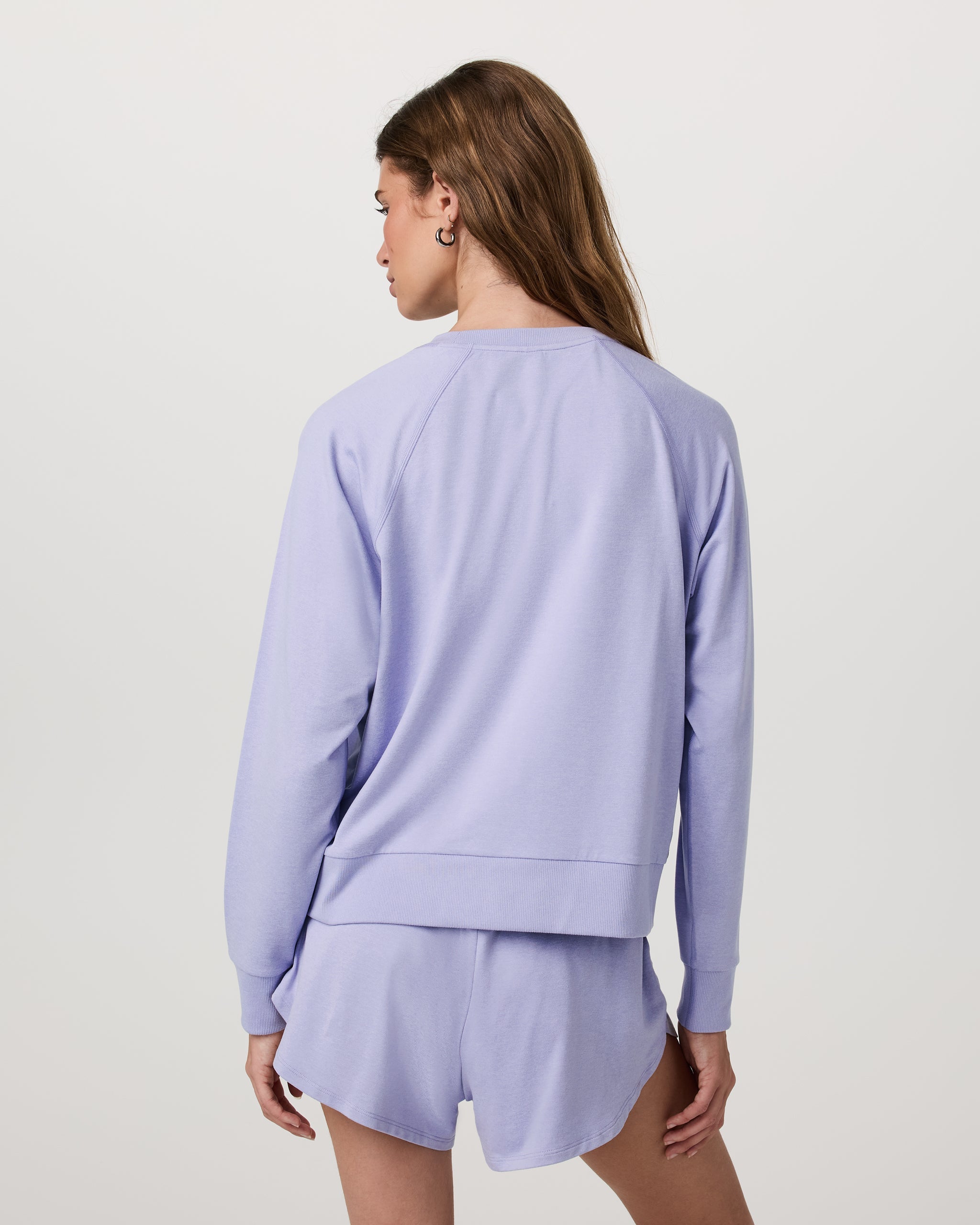 Long Sleeve Halo Crew | Lavender Mist Heather