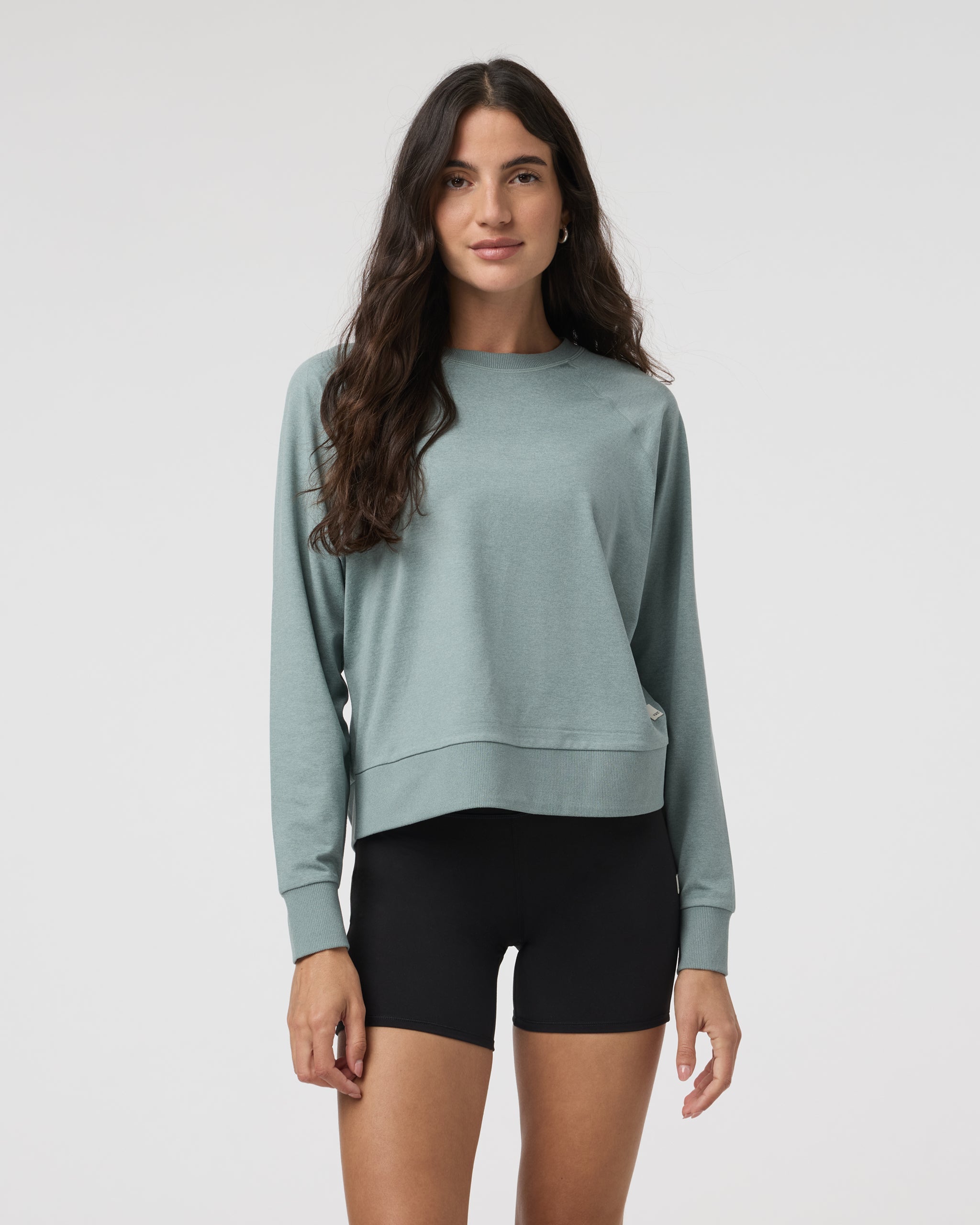 Long Sleeve Halo Crew | Vintage Pistachio Heather
